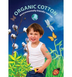 Organic Cotton - Babies singlet